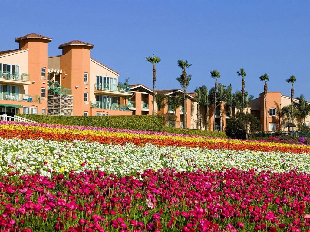 Grand Pacific Palisades Resort 