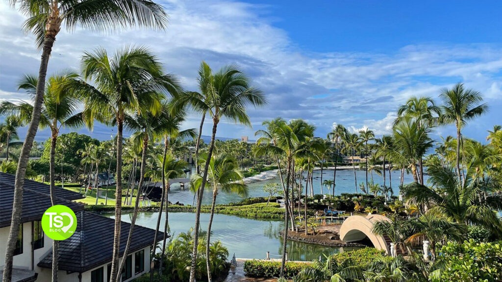 Hilton Grand Vacations Ocean Tower